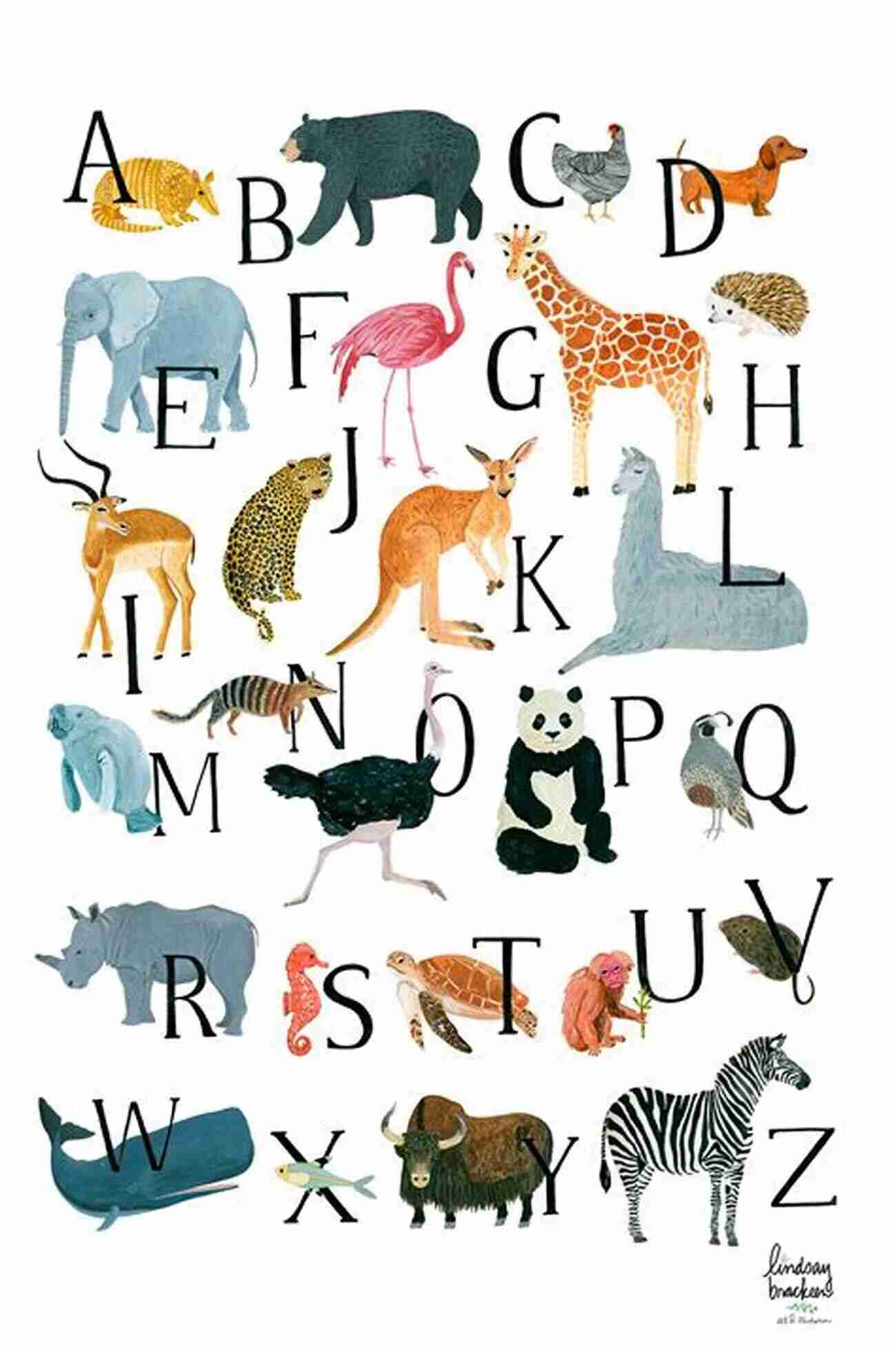 Guess The Animals An Animals Alphabet Guess The Animals: An Animals Alphabet