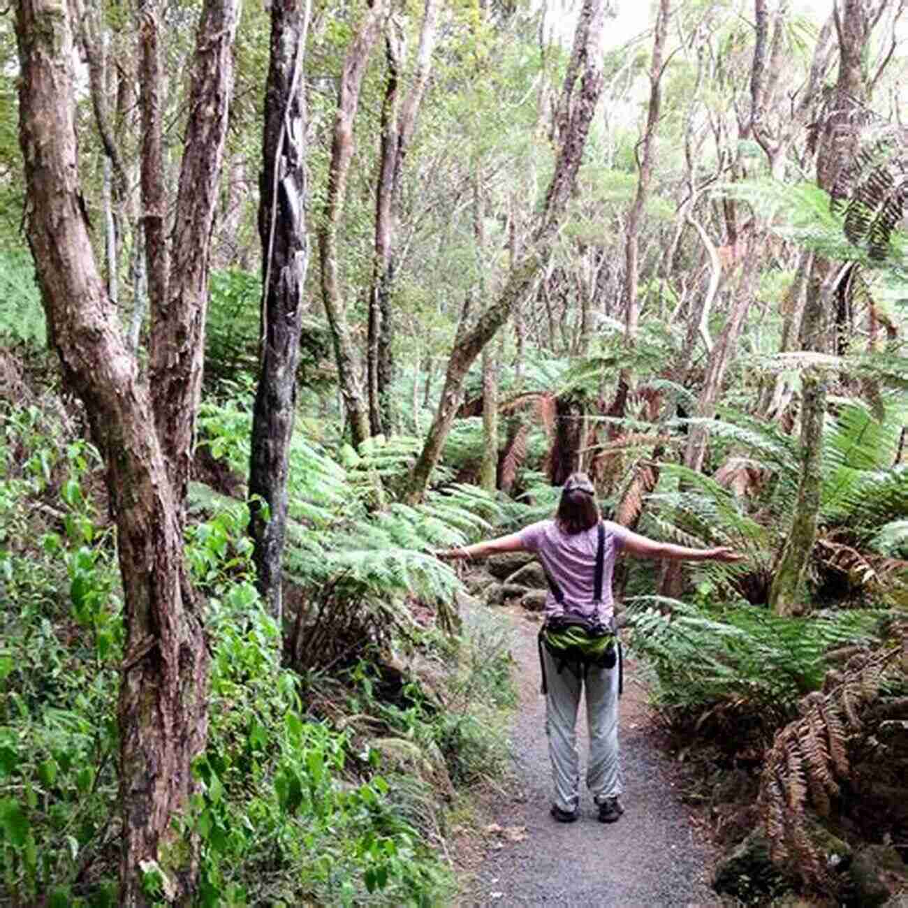 Hiking Through A New Zealand Rainforest Grant The Grapefruit: Tours New Zealand