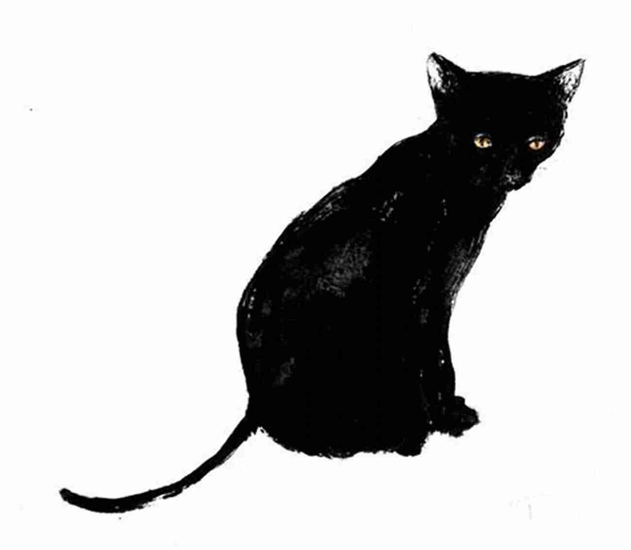 Illustration Of A Black Cat Italian Kids Songs And Rhymes