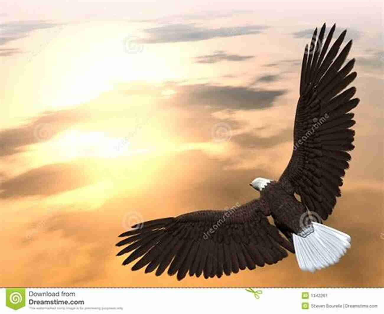 Illustration Of An Eagle Soaring High In The Sky The Magpie S Nest: A Treasury Of Bird Folk Tales