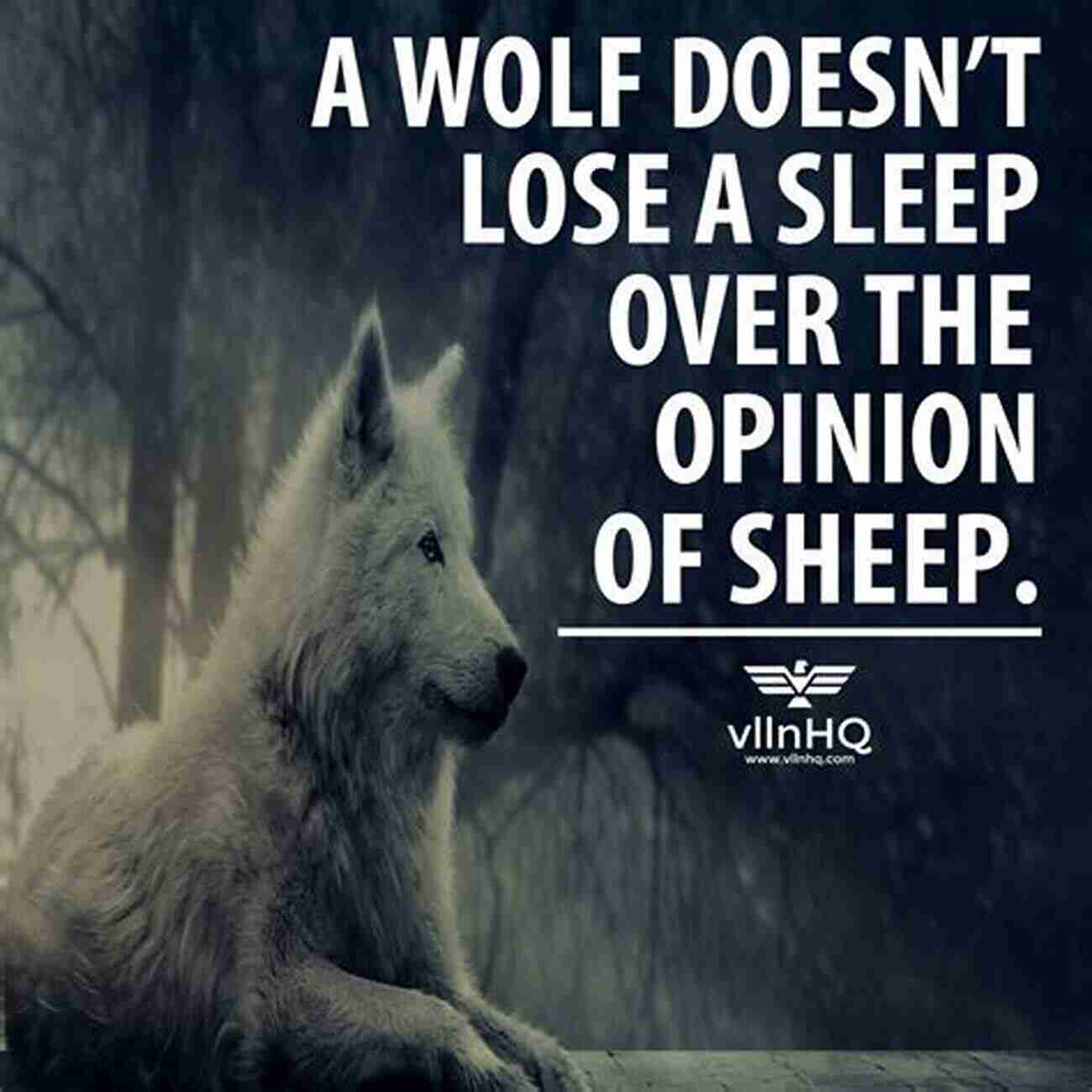 Improving Financial Intelligence Wolves Don T Loose Sleep Over The Opinion Of Sheep: Evan Marsh: Making The Big Bucks