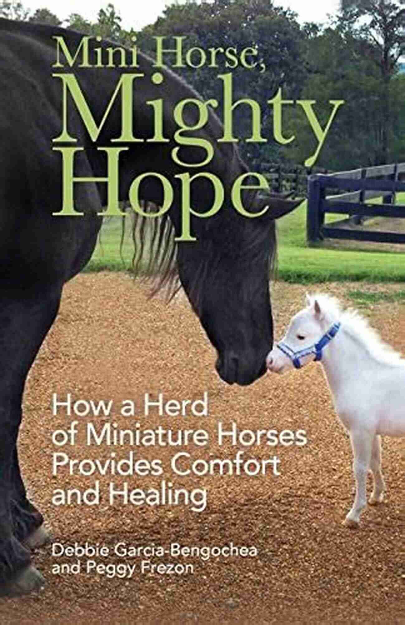 Inspiring Mini Horse Mighty Hope Overcomes Adversities To Bring Joy To Many Mini Horse Mighty Hope: How A Herd Of Miniature Horses Provides Comfort And Healing