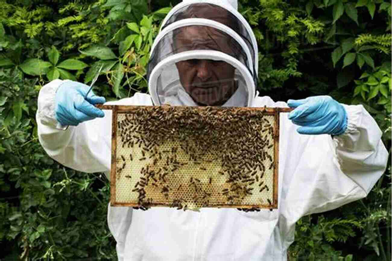 John Motson Inspecting A Beehive With A Protective Suit Age Of Bees John Motson