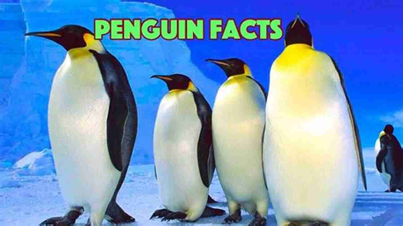 Kids Picture Of Penguins Penguins : Kids Picture And Facts About Penguins (Facts About Animals In The Sea 1)