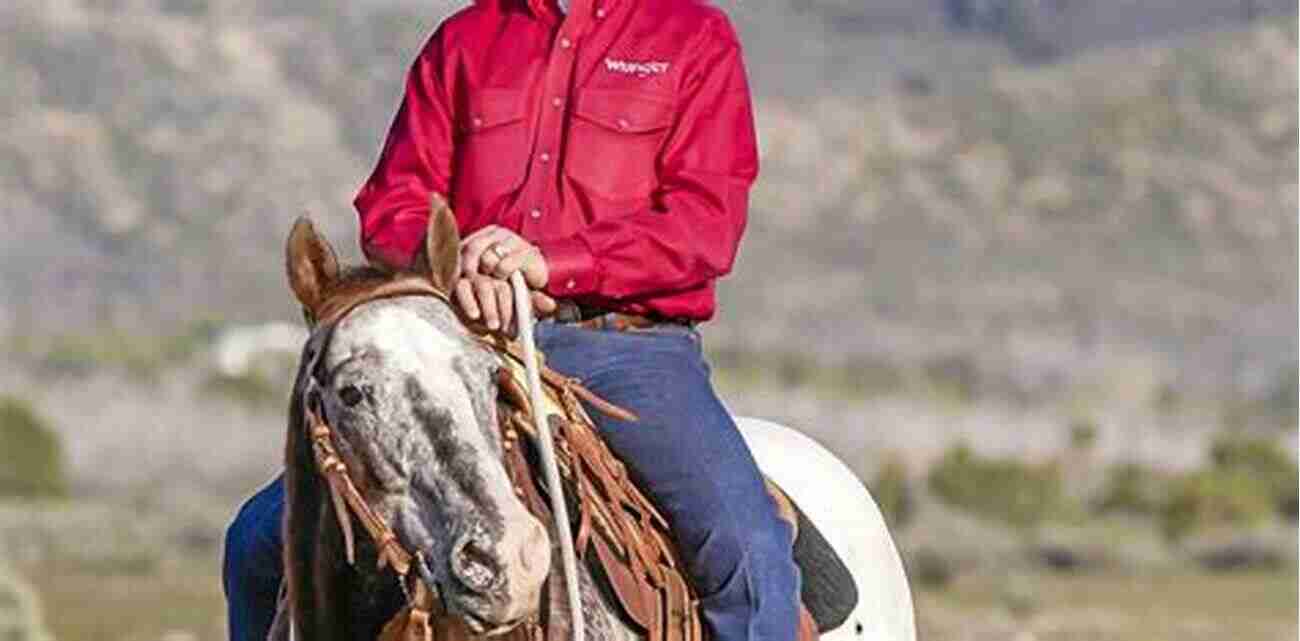 Lyons On Horses John Lyons The Ultimate Horse Training Expert Lyons On Horses John Lyons