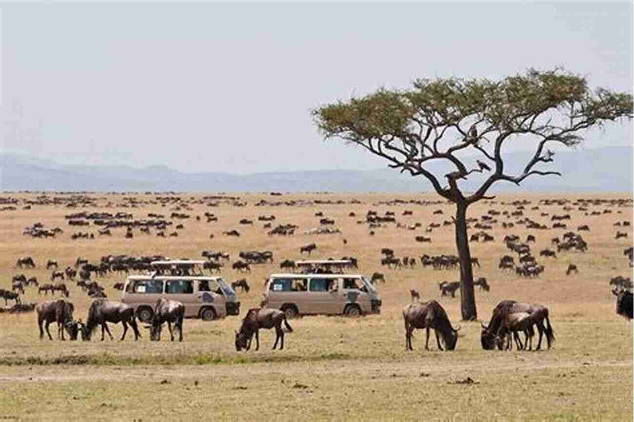 Maasai Mara National Reserve A Safari Experience Best Of Kenya (iC Pocket Travel Guide)