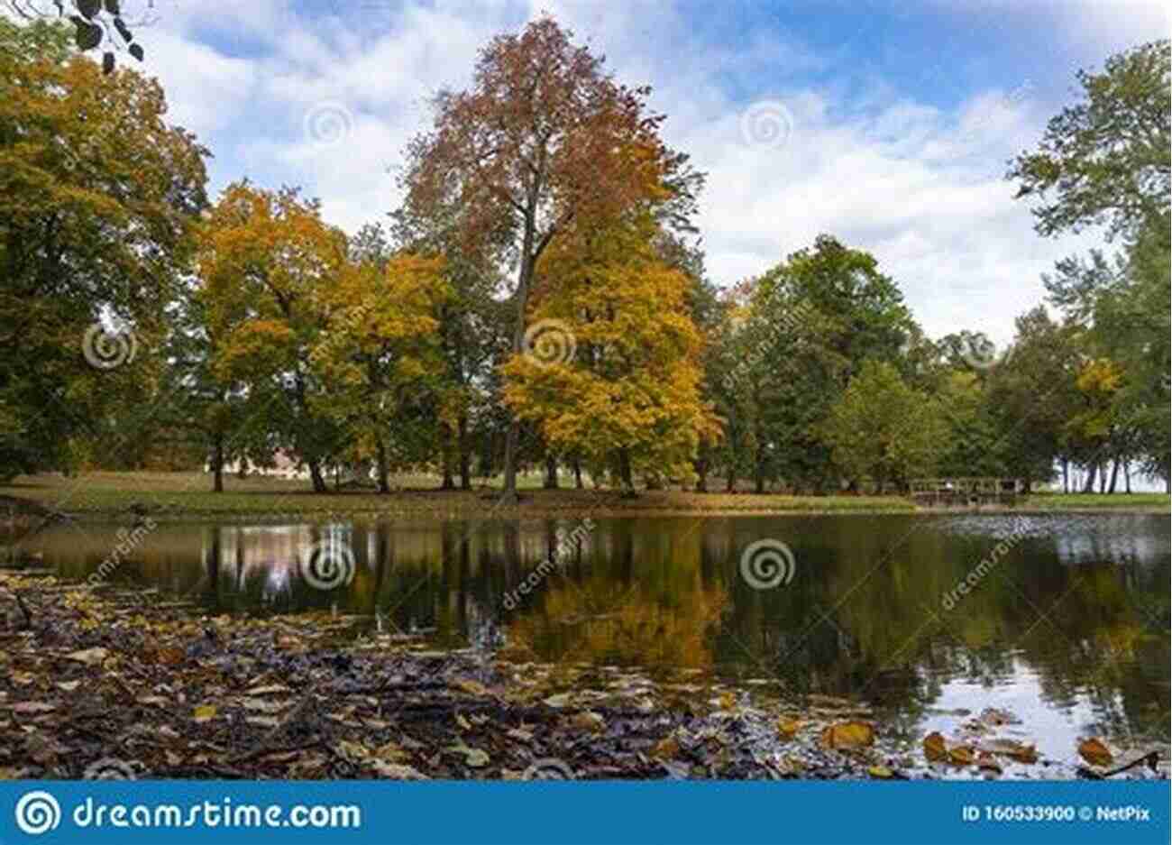 Mesmerizing View Of Pleasant Garden Lake Reflecting The Colorful Foliage Of The Surrounding Trees Pleasant Garden (Images Of America)