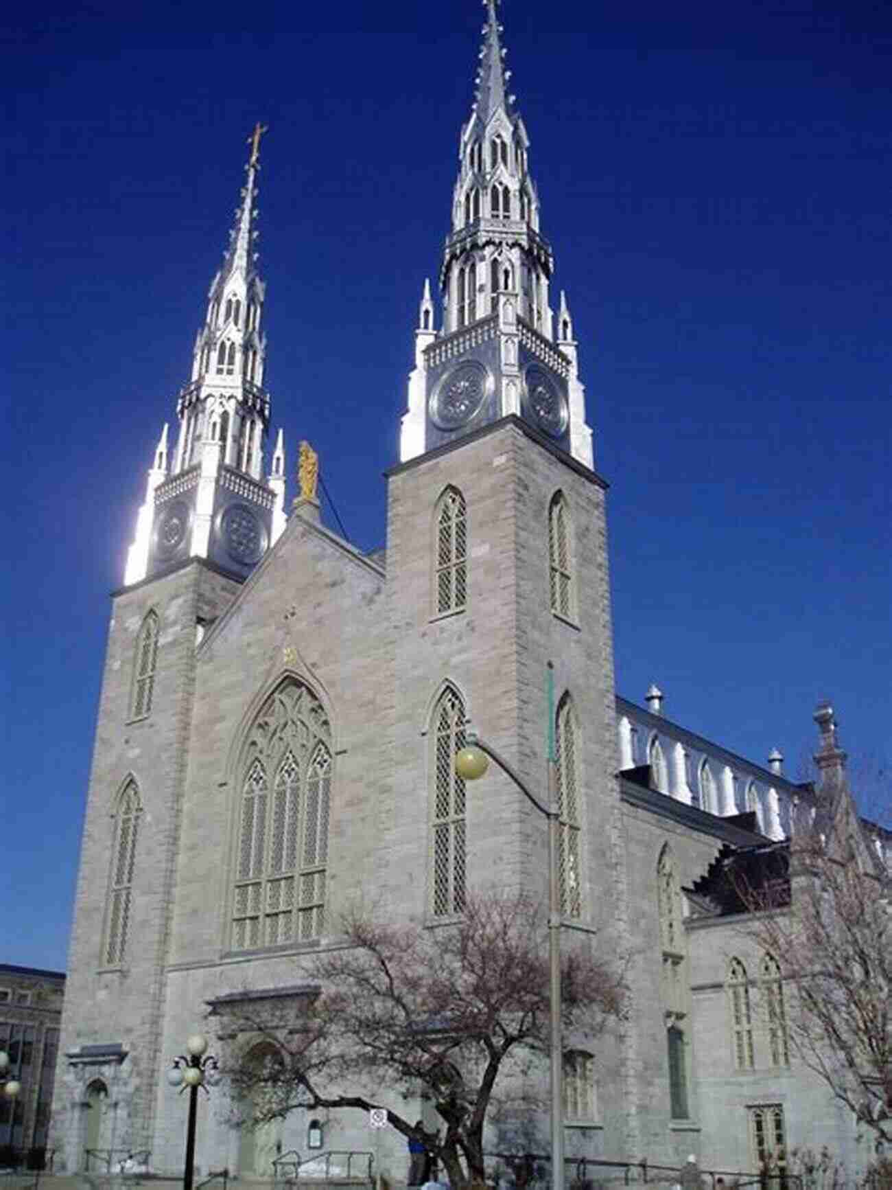 Notre Dame Cathedral Basilica Ottawa S ByWard Market 2016: A Self Guided Walk