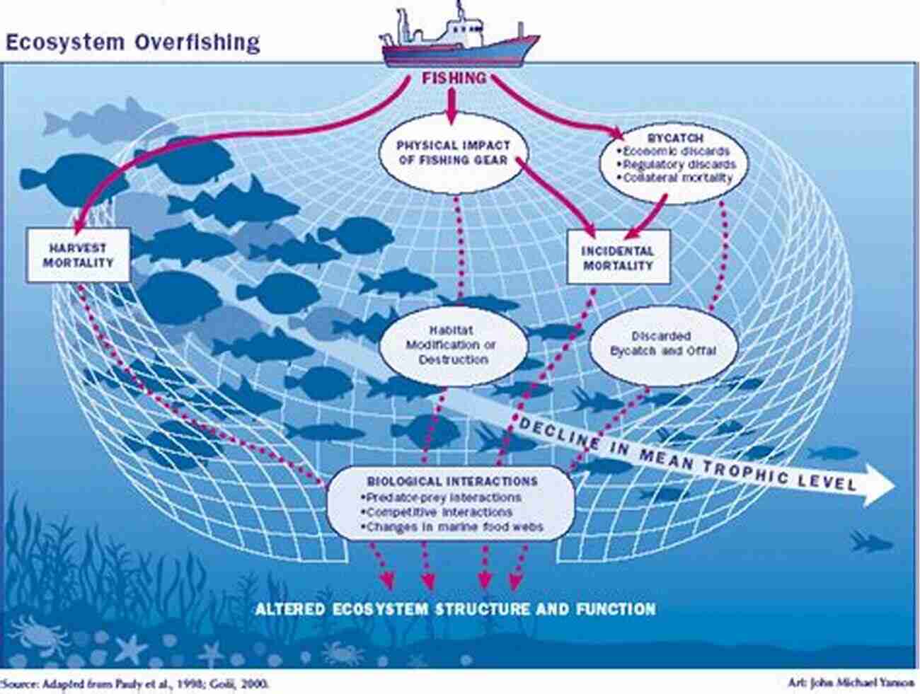 Overfishing In The Ocean Leads To Imbalanced Marine Ecosystems 5 Easy Pieces: The Impact Of Fisheries On Marine Ecosystems (The State Of The World S Oceans)