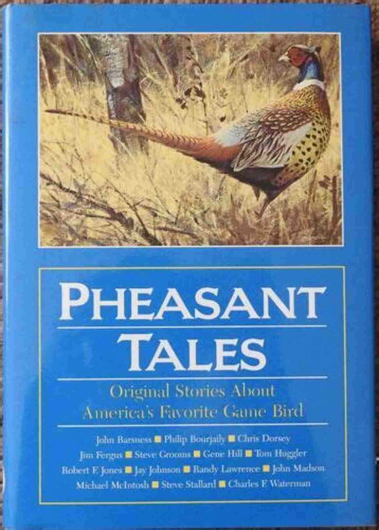 Pheasant Hunting Pheasant Tales John Barsness