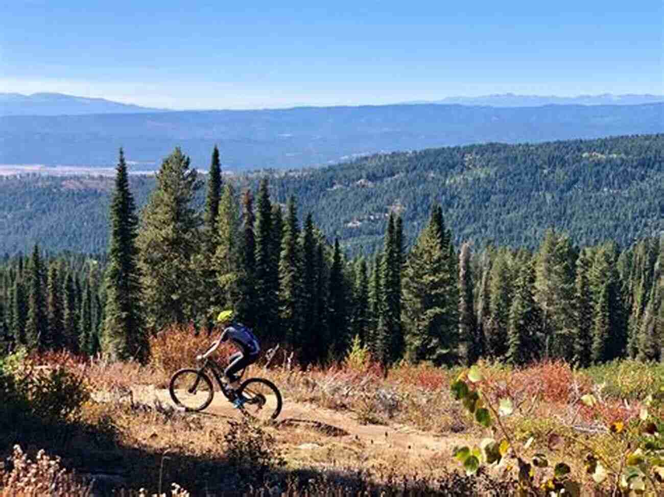 Racing Storm Mountain McCall Mountain Biking Racing Storm Mountain (McCall Mountain)