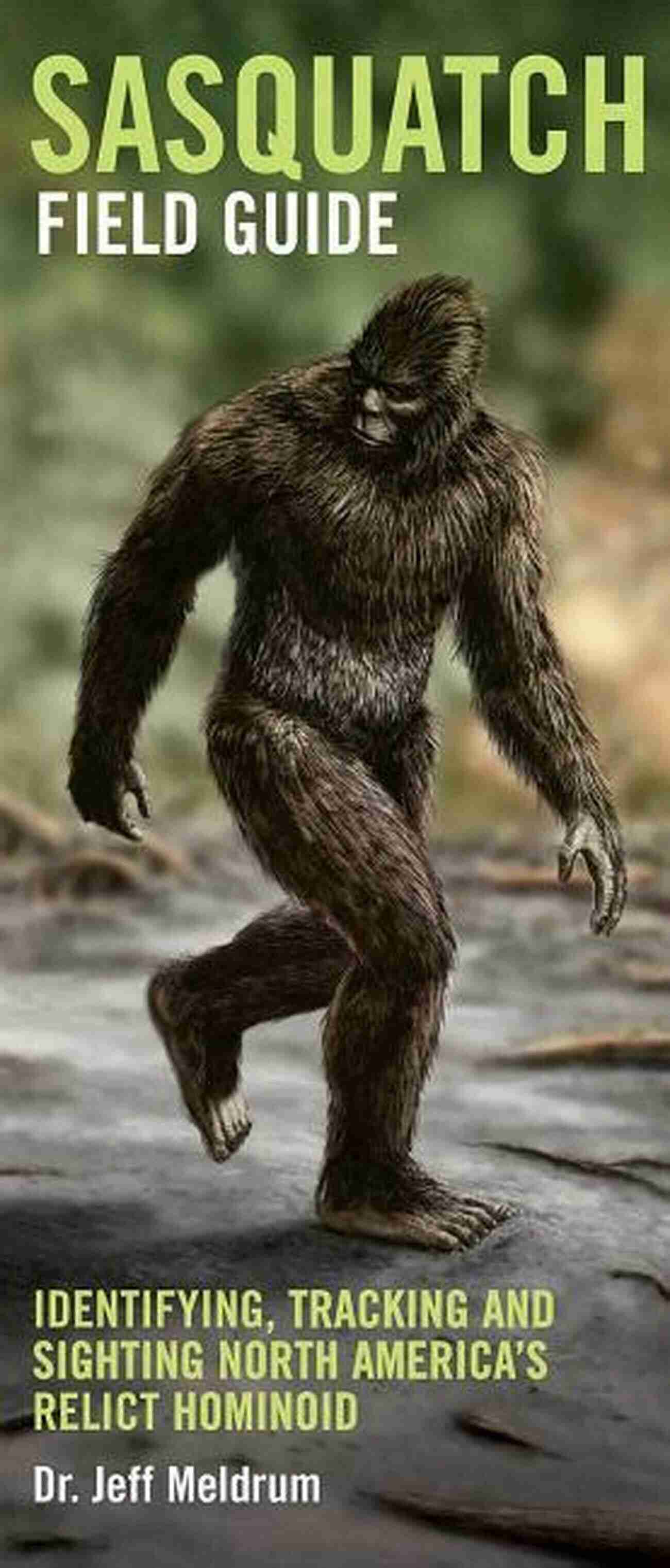 Sasquatch Sighting Tracking SASQUATCH: What To Look For