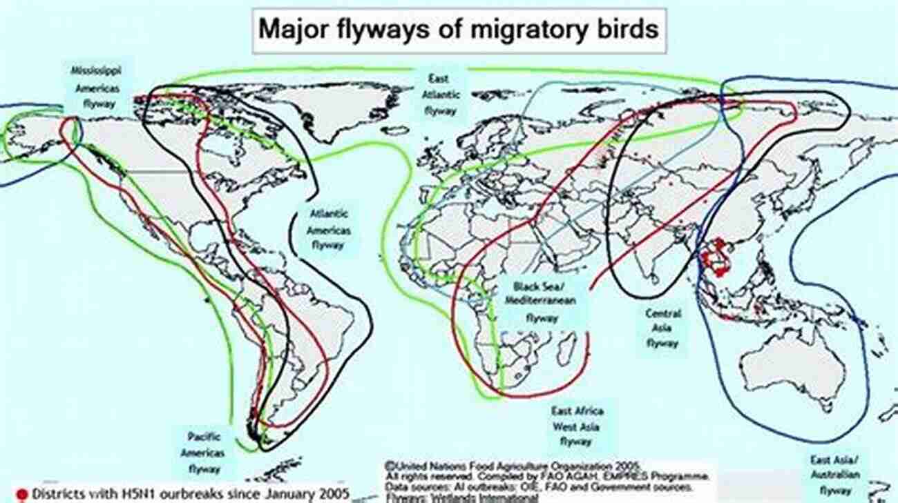 Scientists Using Advanced Technology To Track Bird Migration Routes Bird Migration: A New Understanding