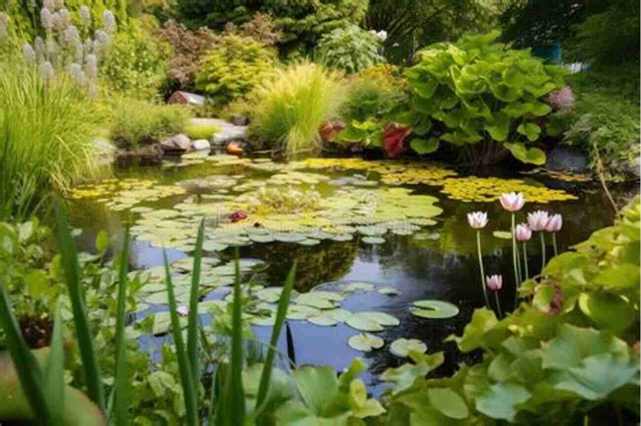 Serene Pond Surrounded By Dragonflies And Damselflies Dragonflies And Damselflies Of The East (Princeton Field Guides 80)