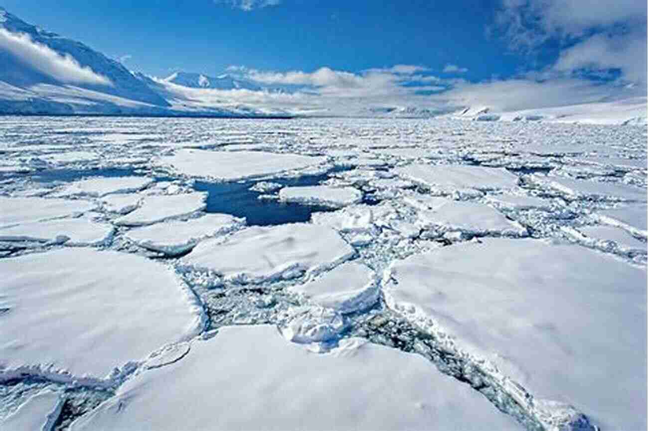 Spectacular View Of Antarctica's Icy Landscape Notes From The Bottom Of The World: A Life In Chile