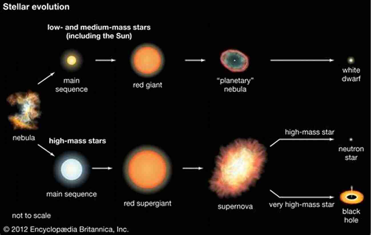 Stellar Process Diagram Stars And Stellar Processes Lisa Broderick