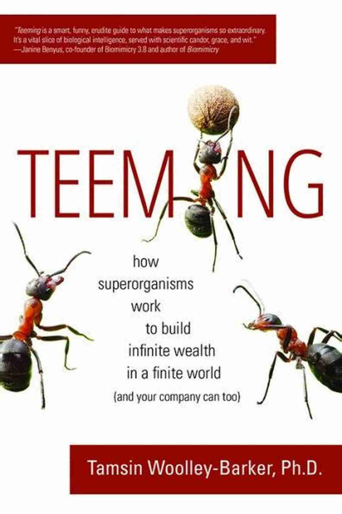 Superorganisms Building Wealth On A Finite Planet Teeming: How Superorganisms Work Together To Build Infinite Wealth On A Finite Planet (and Your Company Can Too)