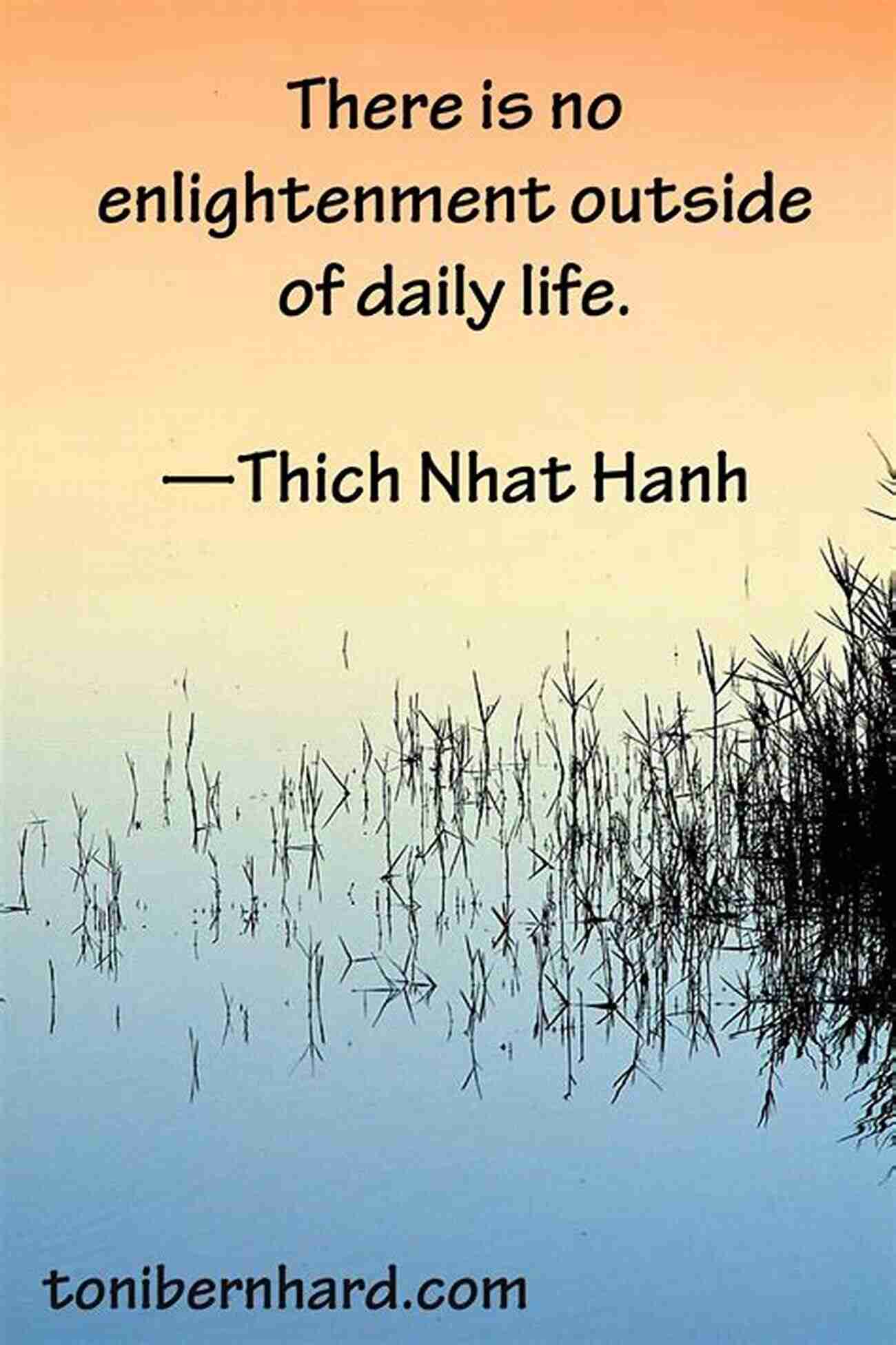 The Collected Poems Of Thich Nhat Hanh An Enlightening Journey Call Me By My True Names: The Collected Poems Of Thich Nhat Hanh