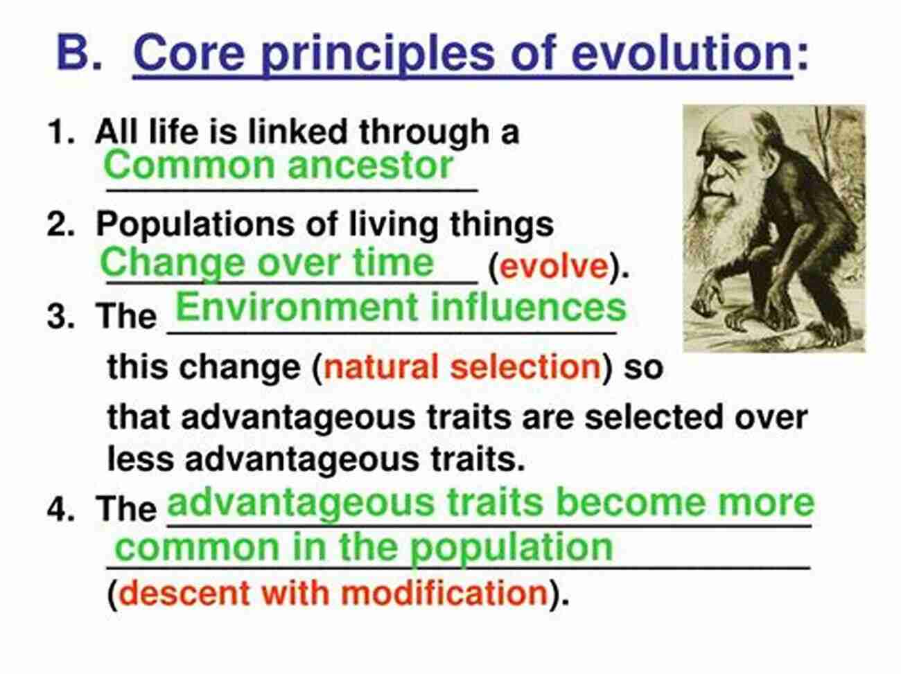 The Elements Of Evolution: Shaping Life's Journey Spokes Of The Wheel 3: The Elements Of Evolution