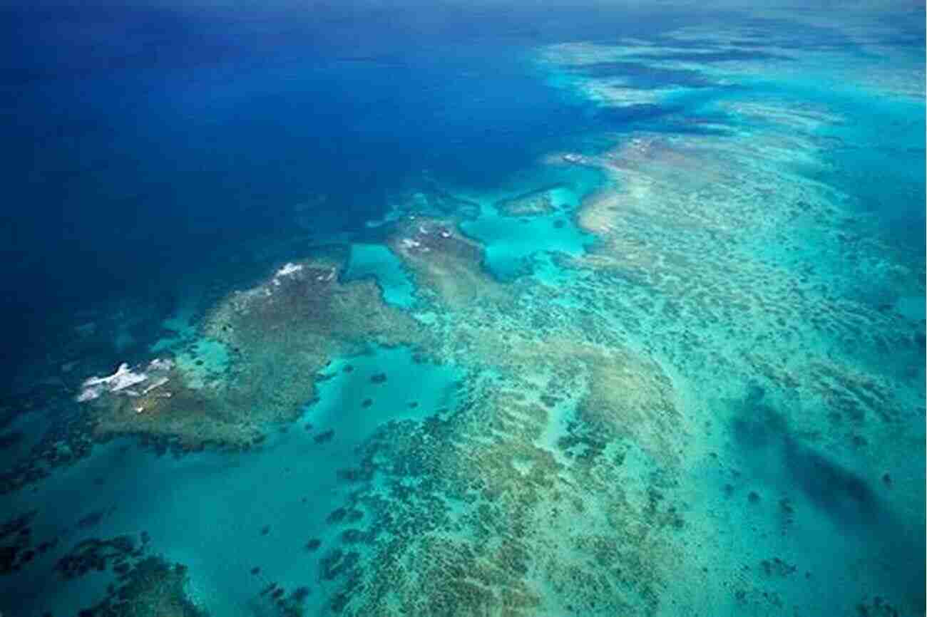 The Great Barrier Reef: A Mesmerizing, Vibrant Underwater Wonder My Journey Through Australia (Travelogue 1)