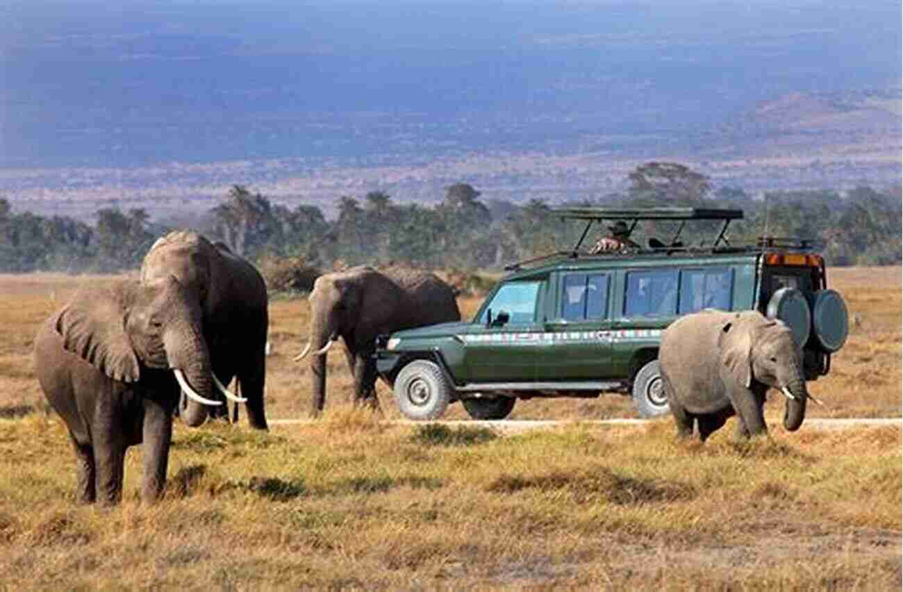 The Masai Mara National Reserve An African Safari Experience Nairobi Rift Valley: Includes The Masai Mara National Reserve (Footprint Focus)