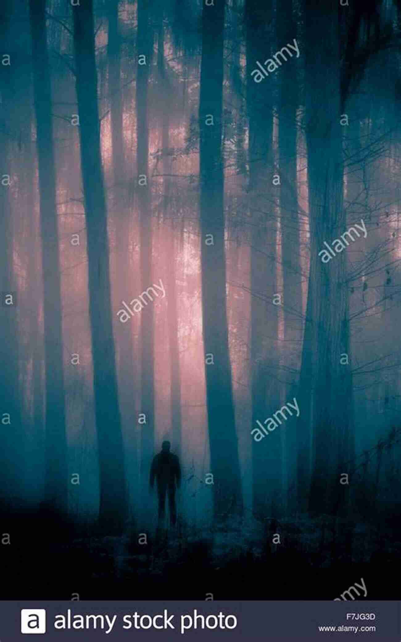 The Enigmatic Square Robert Stanek Standing In A Misty Forest Where Is Square? Robert Stanek