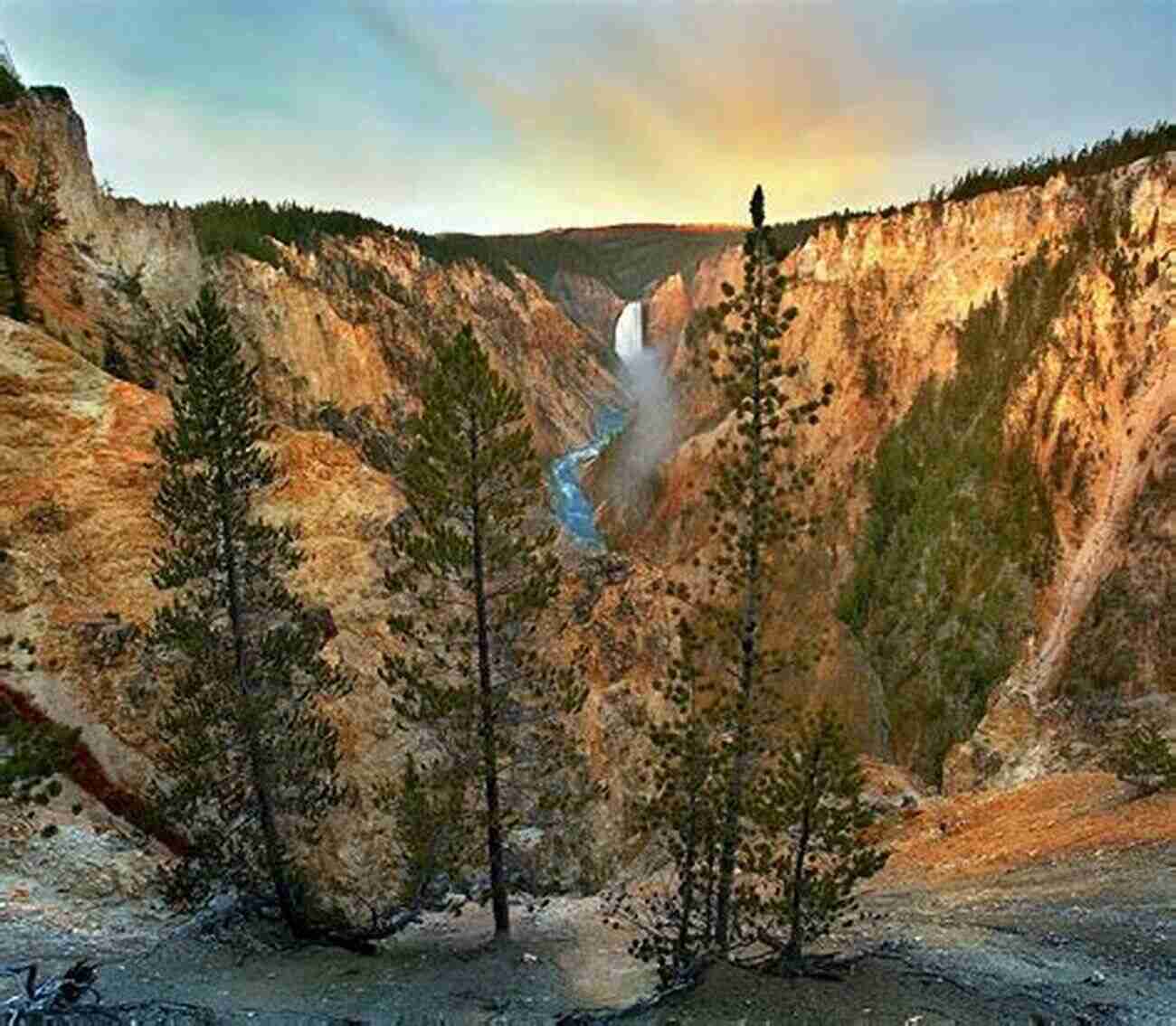 Tim Fitzharris Yellowstone Photography: A Majestic Grizzly Bear In Its Natural Habitat Yellowstone Tim Fitzharris