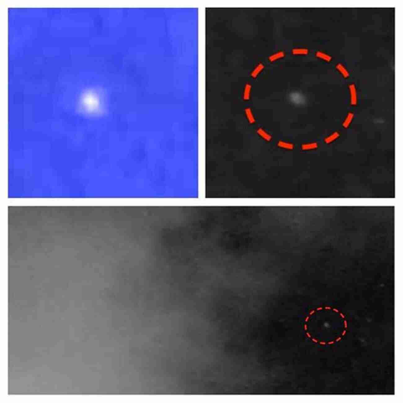 UFO Captured Using Night Vision And Infrared Imaging The Latest Advanced Field Techniques To Investigate The UFO Phenomena: A Technical Handbook For The UFO Field Investigator