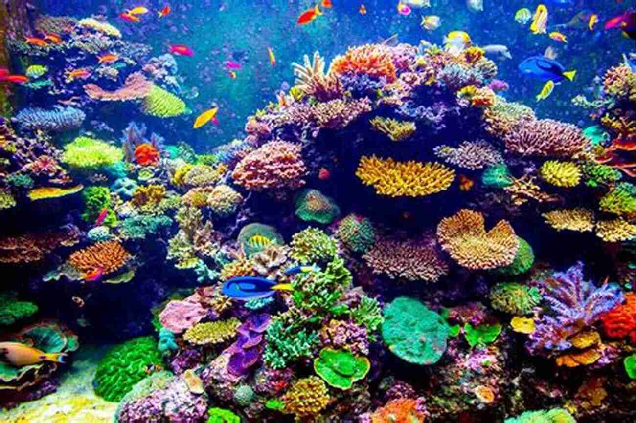 Vibrant Coral Reefs A Kaleidoscope Of Colors In An Underwater Coral Reef. BLACK BEAUTY: With 17 Illustrations And A Free Audio Link