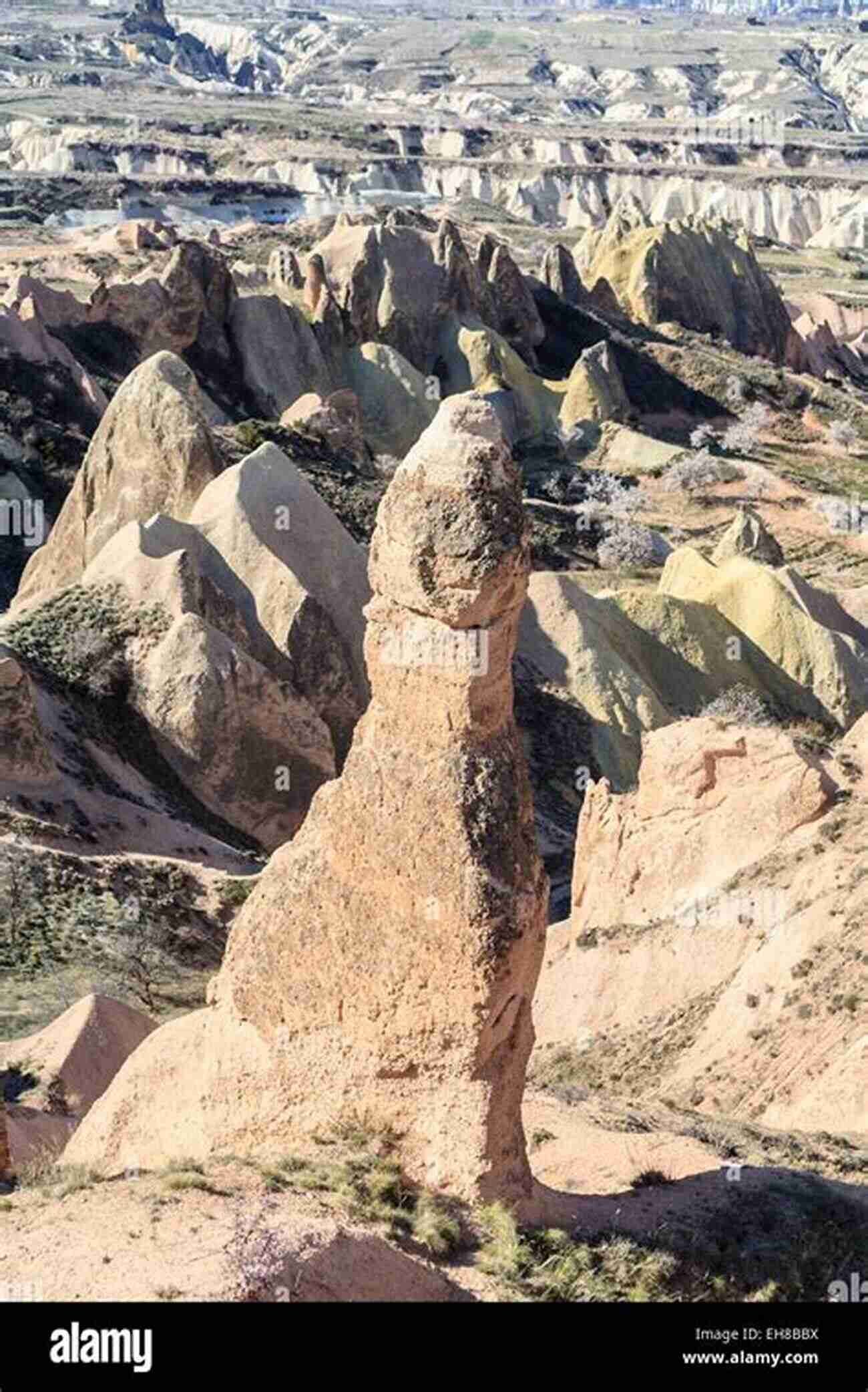 Whimsical Fairy Chimneys Standing Tall Amidst The Rocky Formations My Cappadocia Trip: Cappadocia Perfect Guide Photo