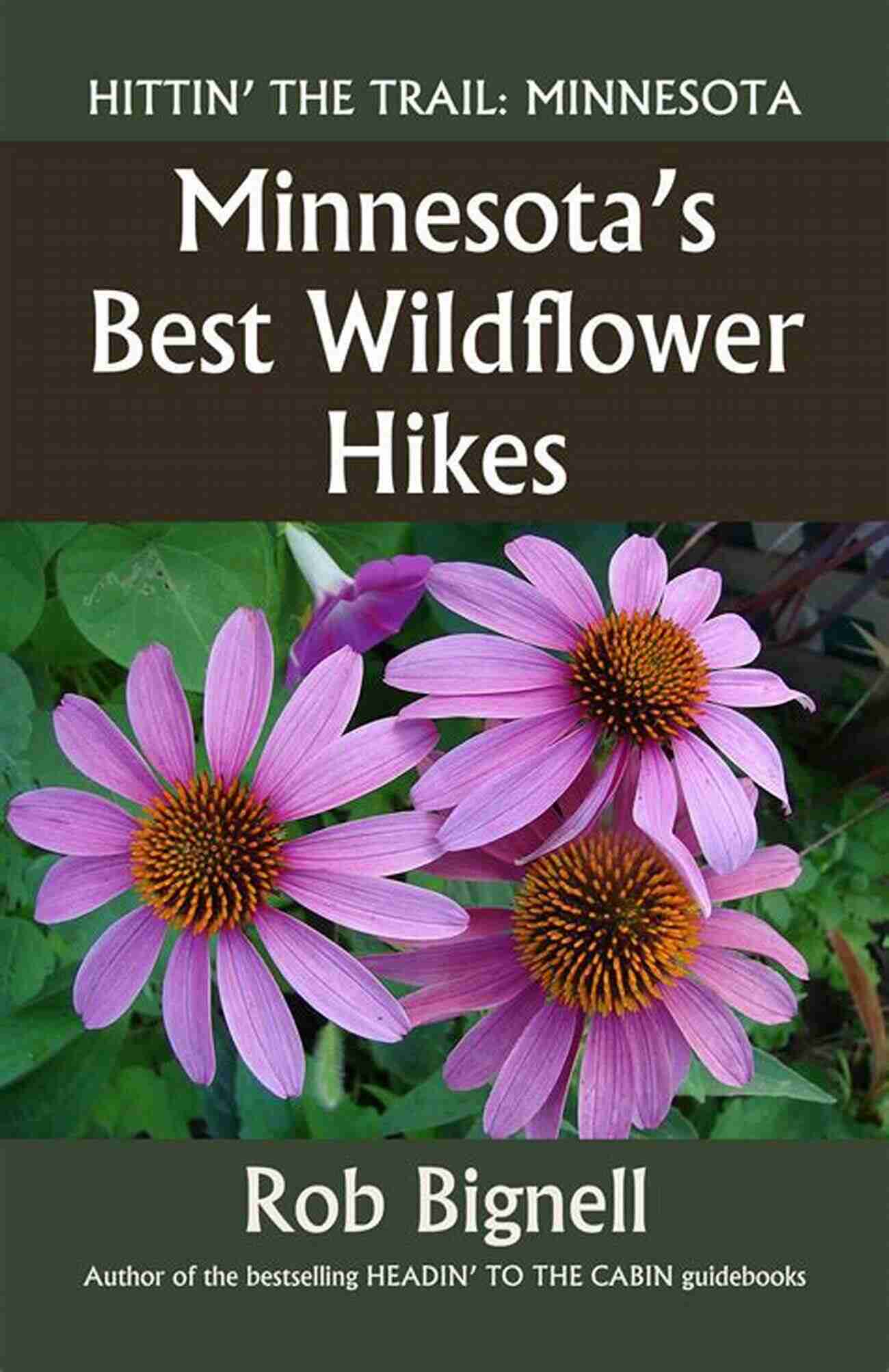 Wildflower Hikers In Minnesota Minnesota S Best Wildflower Hikes Rob Bignell