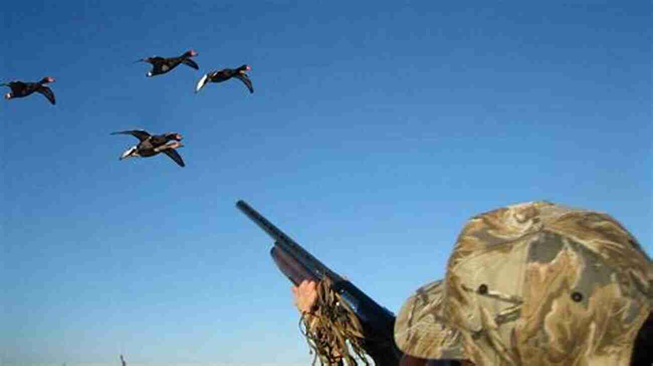 Bird Hunting In The Field Successful Shotgunning: How To Build Skill In The Field And Take More Birds In Competition