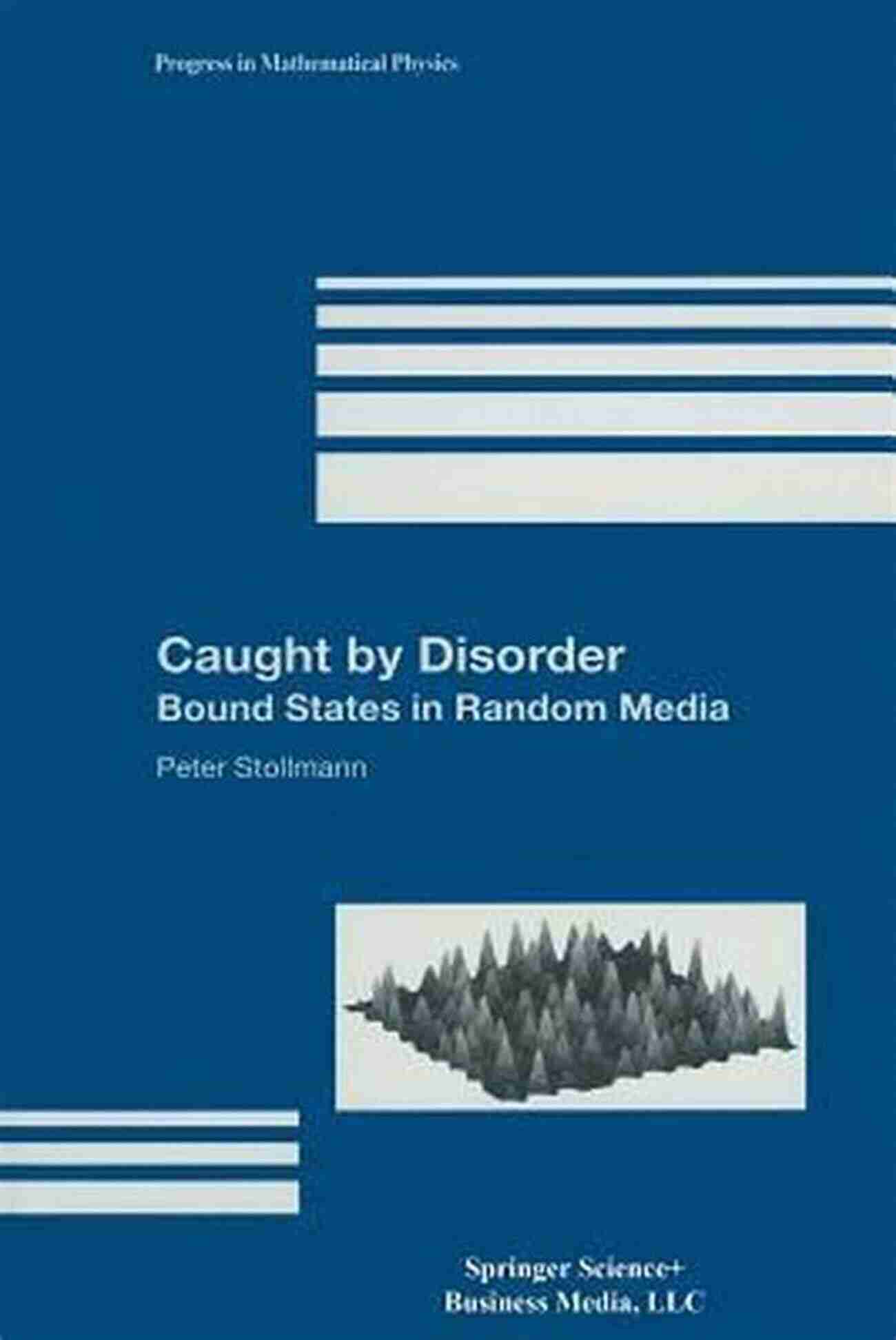 Bound States In Random Media Caught By Disorder: Bound States In Random Media (Progress In Mathematical Physics 20)