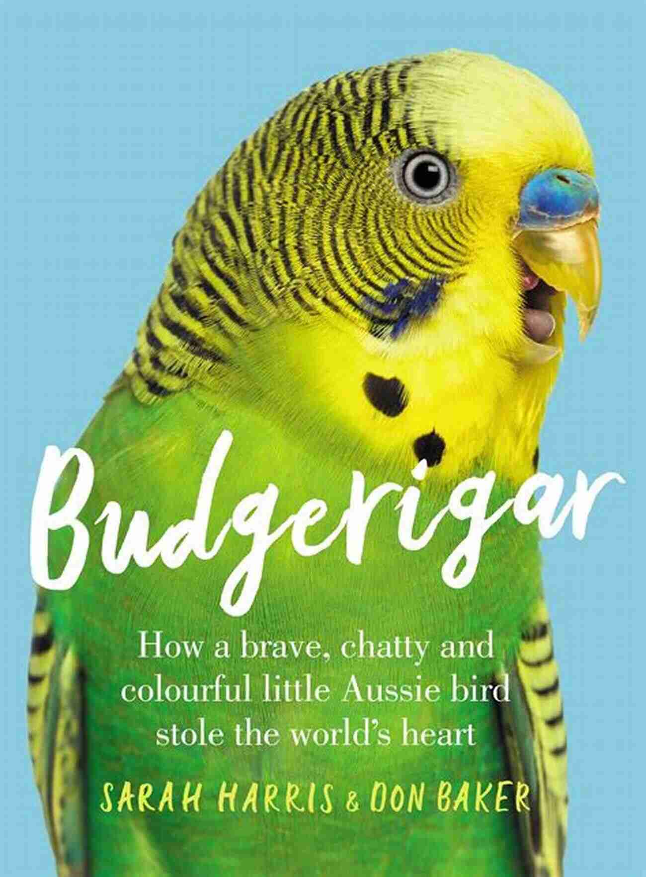 Brave Chatty Colourful Little Aussie Bird Budgerigar: How A Brave Chatty And Colourful Little Aussie Bird Stole The World S Heart