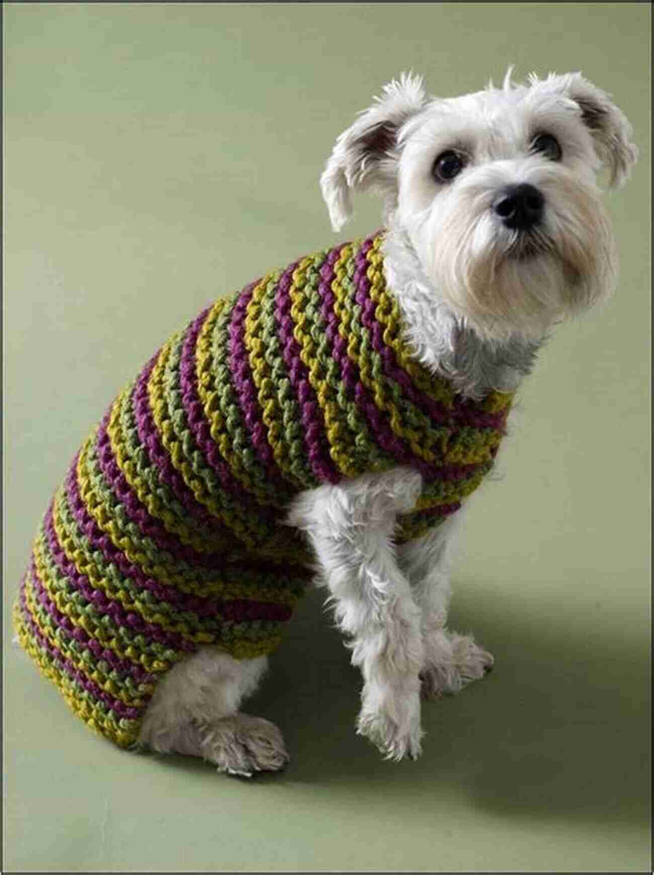 Crocheted Chunky Dog Sweater Using Super Chunky Yarn Supersize Crochet: 20 Quick Crochet Projects Using Super Chunky Yarn