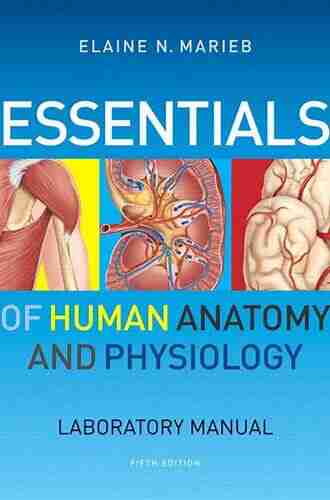 Essentials of Human Anatomy Physiology Laboratory Manual (2 downloads)