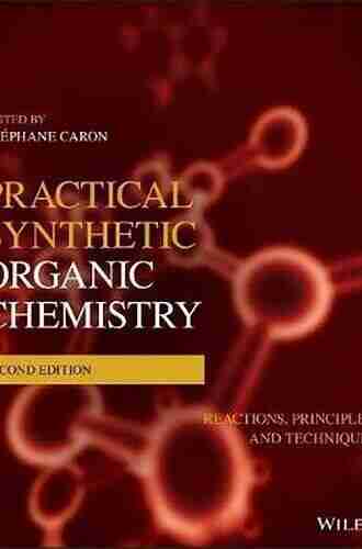 Practical Synthetic Organic Chemistry: Reactions Principles And Techniques