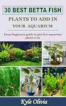 30 BEST BETTA FISH PLANTS TO ADD IN YOUR AQUARIUM: Every beginners guide to give live aquarium plants a try