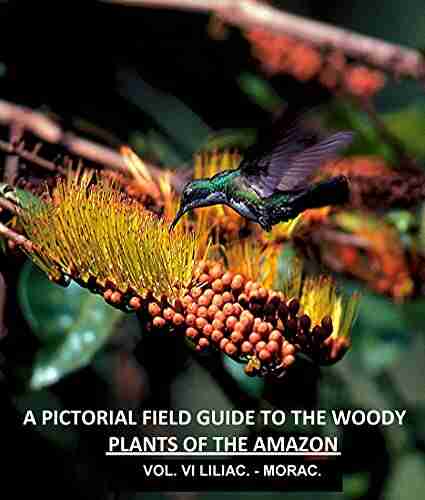 A Pictorial Field Guide to the Woody Plants of the Amazon VOL VI: LILIACEAE MORACEAE