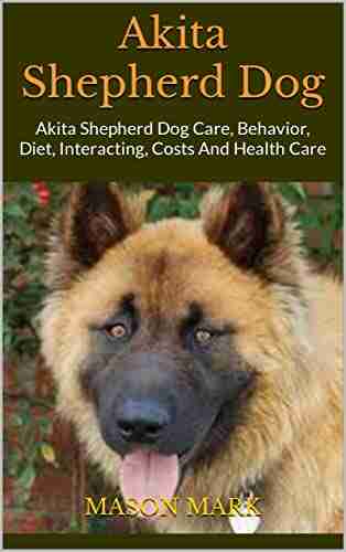 Akita Shepherd Dog : Akita Shepherd Dog Care Behavior Diet Interacting Costs And Health Care