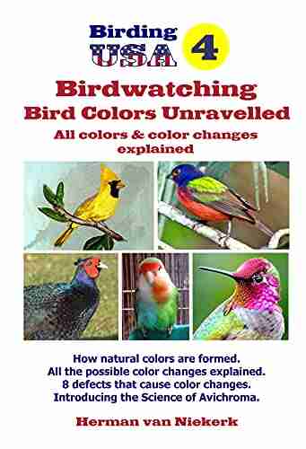 Bird Colors Unravelled: All Colors Color Changes Explained (Birding USA)