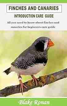 FINCHES AND CANARIES INTRODUCTION CARE GUIDE: All you need to know about finches and canaries for beginners care guide