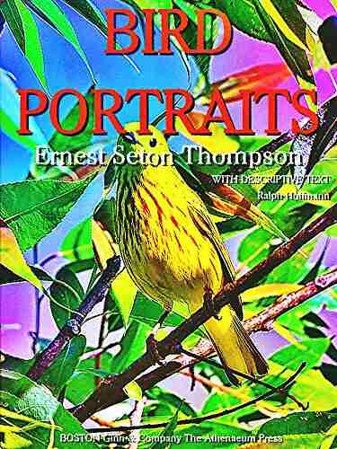 Bird Portraits (Illustrations) Ernest Thompson Seton