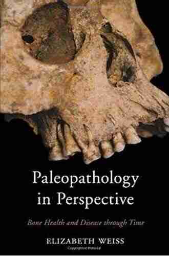 Paleopathology In Perspective: Bone Health And Disease Through Time