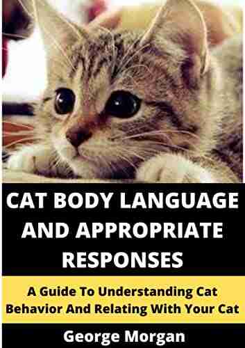 CAT BODY LANGUAGE AND APPROPRIATE RESPONSES : A GUIDE TO UNDERSTANDING CAT BEHAVIOR AND RELATING WITH YOUR CAT