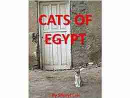 Cats of Egypt Sheryl Lee