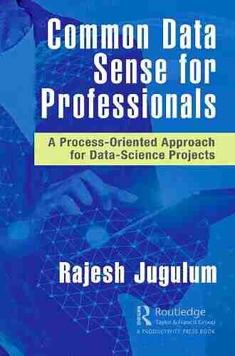 Common Data Sense for Professionals: A Process Oriented Approach for Data Science Projects