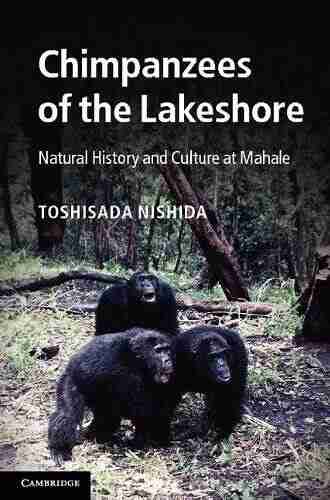 Chimpanzees Of The Lakeshore: Natural History And Culture At Mahale