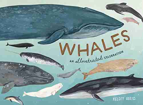 Whales: An Illustrated Celebration Kelsey Oseid