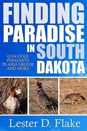 Finding Paradise in South Dakota: gun dogs pheasants prairie grouse and more